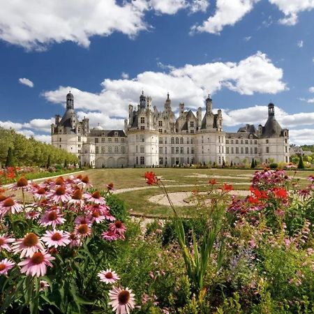 Au Coeur De Blois 아파트 외부 사진